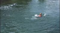 Flipper, come here!