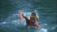 Flipper, no!