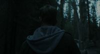 [footsteps, rustling]