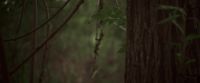 [footsteps]
