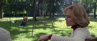 Forrest