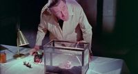 Franchot