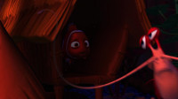 From this moment on you will be known as SharkbaitSharkbait oo ha haWelcome Brother SharkbaitSharkbait oo ha haEnough with the Sharkbait Sharkbait