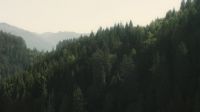 Further north