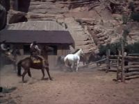 [ Galloping ] - [ Chattering ]
