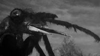 Get the antennae
