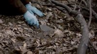 Give me the trowel