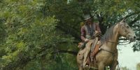 Go saddle Lightning