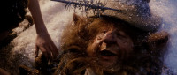 Goblins Shot me through me brain pan
