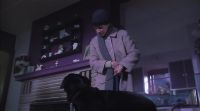 Good boy. Sit