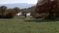 Good shooting Sharpe