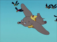 Uh why he flies just like a eagleThat's better than a aeroplaneBrother now I've seen everything
