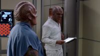 Hello, Bortus