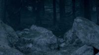 Hello, brother