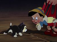 Let's say hello to Figaro Hello to Figaro