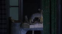 Hello?