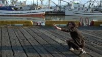 Henry, call emma!