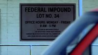 你好 朋友 Hey-hey, my friend!