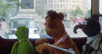 Hey Kermit Yeah