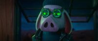 Hey! - [koala gasping]