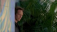 Hey,michael