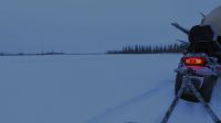 HEY, MOOSE