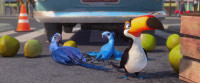 Hey Rafilf it isn't the king of CarnavalNico Pedro What up familyWhere you been hiding yourself birdMan l thought you were deadHold up RewindAin't that the bird from the cagel think our love lessons