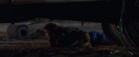 Hey Rog Murtaugh