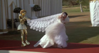 HEY WAIT YOU FORGOT TO GET MARRIED
