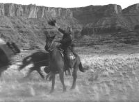 Hold them horses!