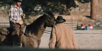 Howdy. - Hi