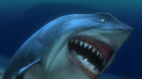 I am a nice shark not a mindless eating machineIf I am to change this imageI must first change myselfFish are friends not food