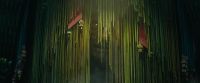 I am Oz