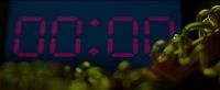 I did it