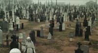 I hate boneyards. - So split