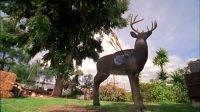I hate fake deer too