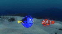 I have to get out I have to find my sonI have to tell him how old sea turtles are