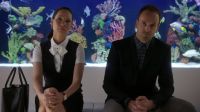 Previously on Elementary