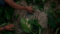 Previously on Lost