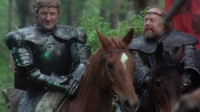 I remember my first joust