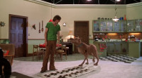 I'll have whatever he's havingAre you challenging meMaybePull my finger Too lateYou're in trouble Oh boyI'm not stopping till your fur is singed offWe're here to solve a mysteryYeah Scoob