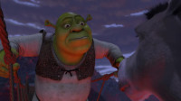 Don't do thatOh I'm sorry Do whatOh This Yes thatYes yes Do it OKNo Shrek I'm doing it