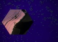 'Impossible objects