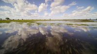 In Botswana's Okavango Delta