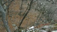 In winter