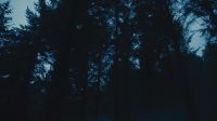 [indistinct chatter]