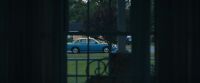 (insects chirping)
