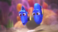 It means you can do whatever you put your mind to Dory