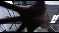 It's sharp. - Yeah, it's startin' to roll