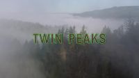 �� Julee Cruise's 